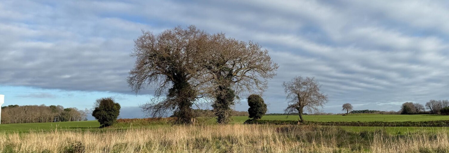 Terrain  281 m² à vendre à Riantec (56670)