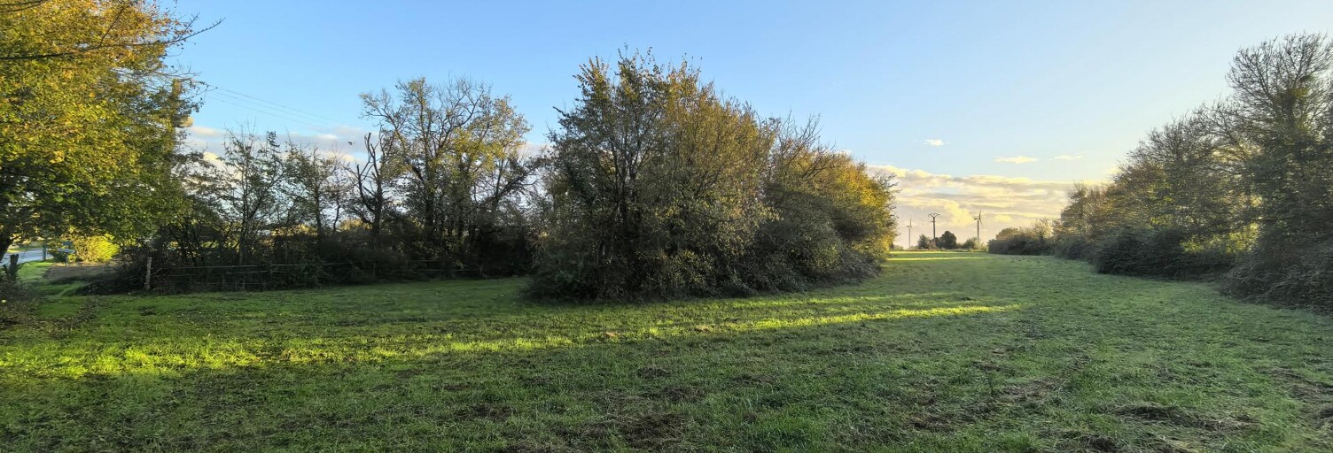 Terrain  6400 m² à vendre à Saint-Pierre-de-l'Isle (17330)