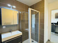 Studio 28 m2 avec balcon , parking et cave  -BORMES LES MIMO — photo 3