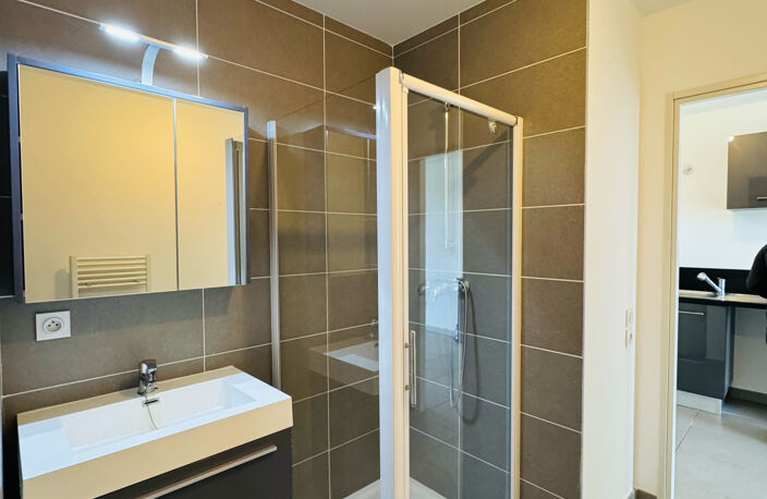 Studio 28 m2 avec balcon , parking et cave  -BORMES LES MIMO — photo 3