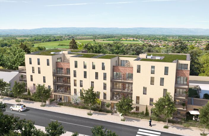 Vente appartement 2 pièces 49 m² Veauche (42340) — photo 3