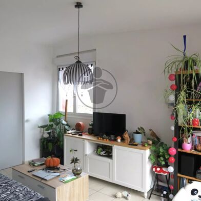Appartement 3 pièces 645 €