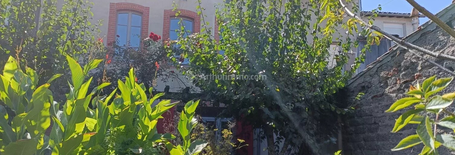 Maison 9 Pièces 225 m² à vendre à Albi (81000)