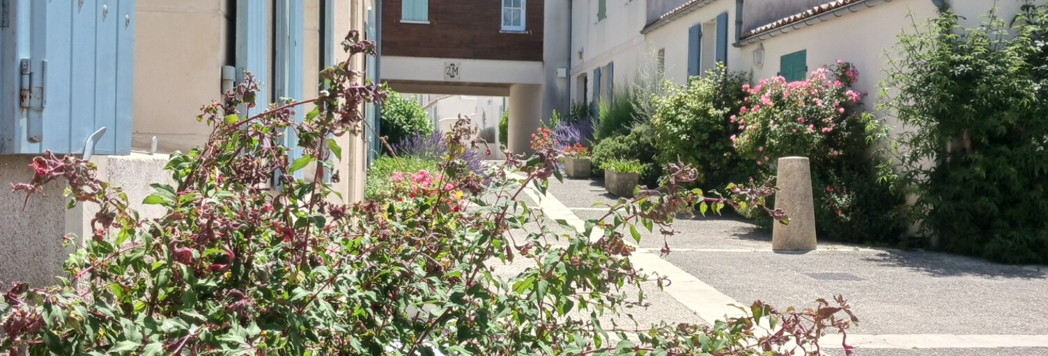 Appartement 1 Pièce 28 m² à vendre à Saint-Martin-de-Ré (17410)