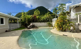 Appartement 1 Pièce 24 m² à vendre à Le Diamant (97223)