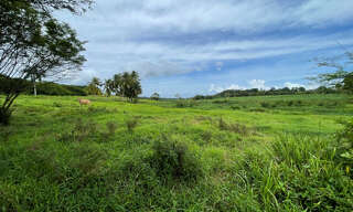 Terrain  1000 m² à vendre à Petit-Bourg (97170)