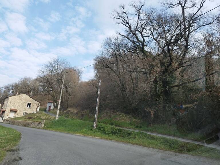 Terrain — photo 1