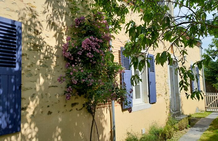 Maison — photo 2