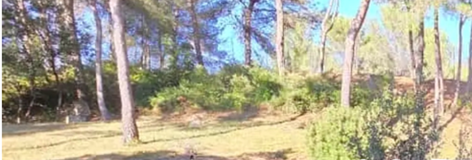 Appartement 1 Pièce 25 m² à vendre à Saint-Gély-du-Fesc (34980)