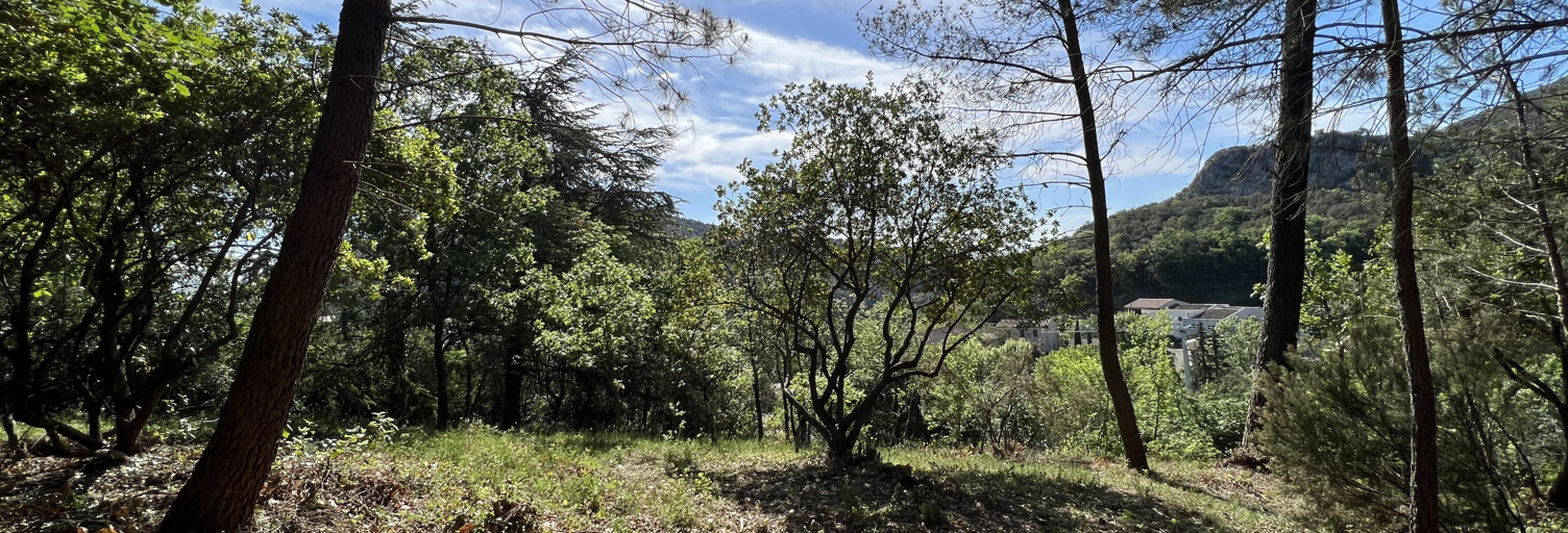 Terrain  2472 m² à vendre à Saint-Jean-du-Pin (30140)