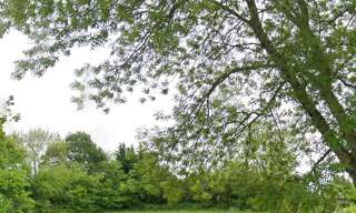 Terrain   m² à vendre à Rioux (17460)