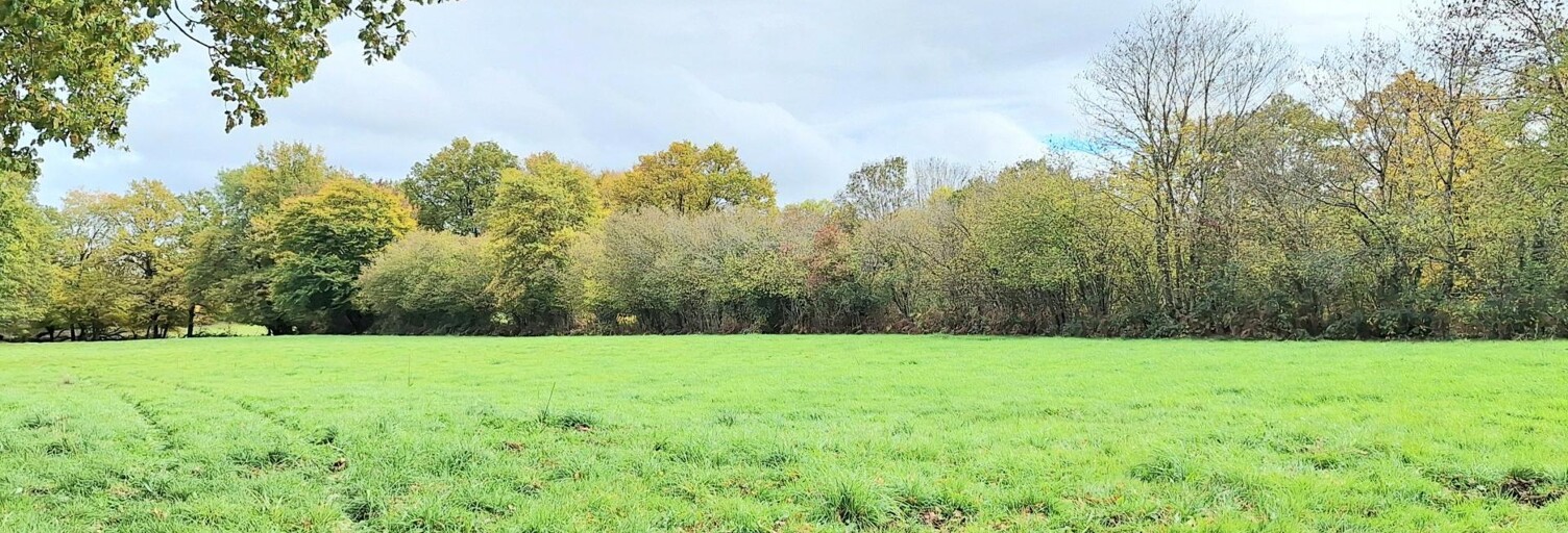 Terrain  2600 m² à vendre à Auxy (71400)