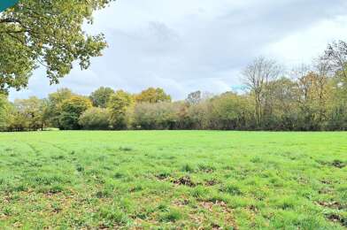 Terrain  59000 €