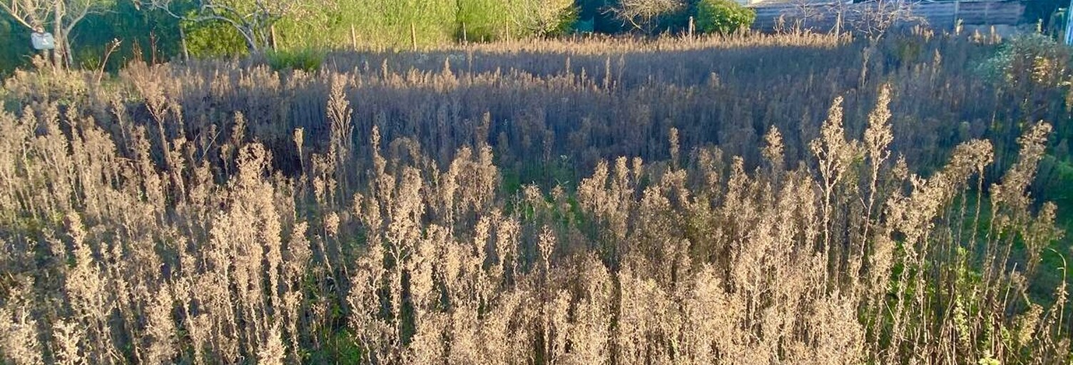 Terrain  812 m² à vendre à Lury-sur-Arnon (18120)