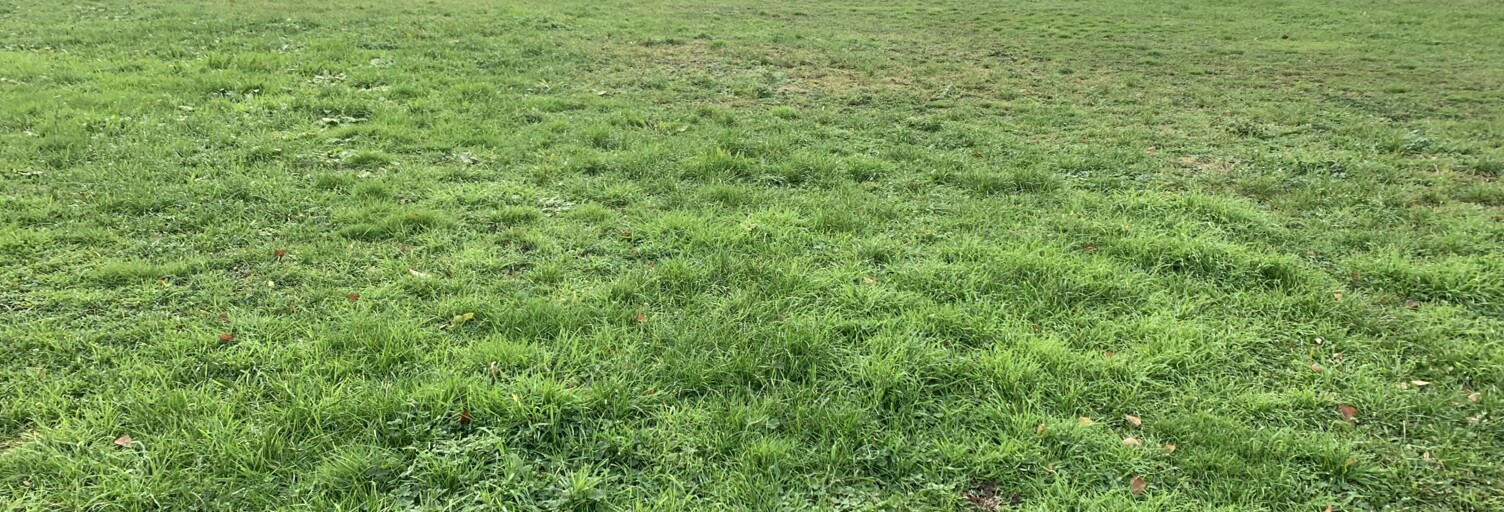 Terrain  954 m² à vendre à Guécélard (72230)