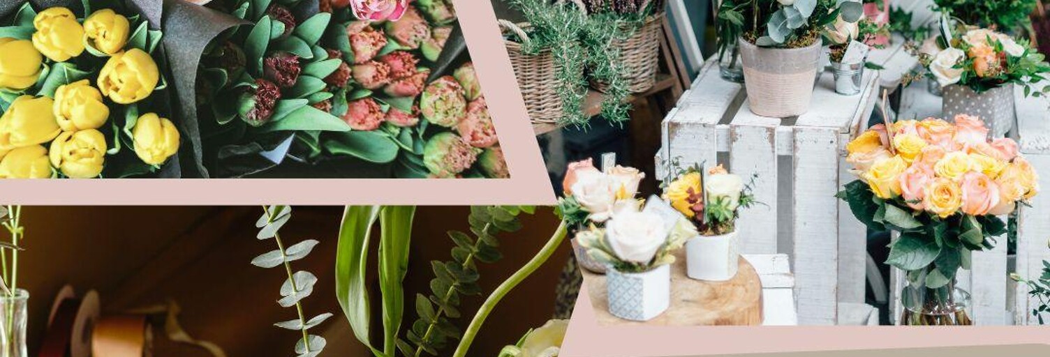 Commerce  90 m² à vendre à Faverges-Seythenex (74210)