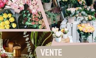 Commerce  90 m² à vendre à Faverges-Seythenex (74210)