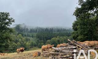 Terrain  121370 m² à vendre à Nedde (87120)