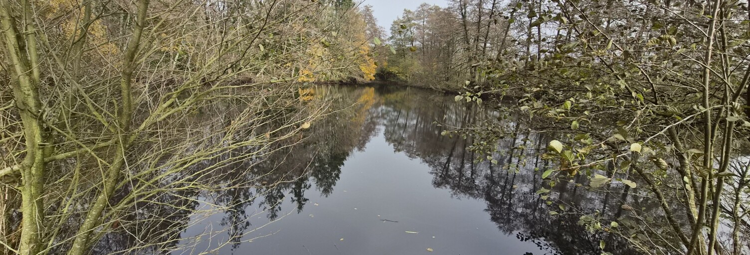 Terrain  5368 m² à vendre à Nieul-le-Dolent (85430)