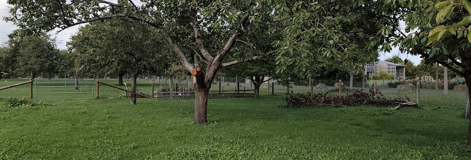 Terrain  950 m² à vendre à Saint-Cosme-en-Vairais (72110)