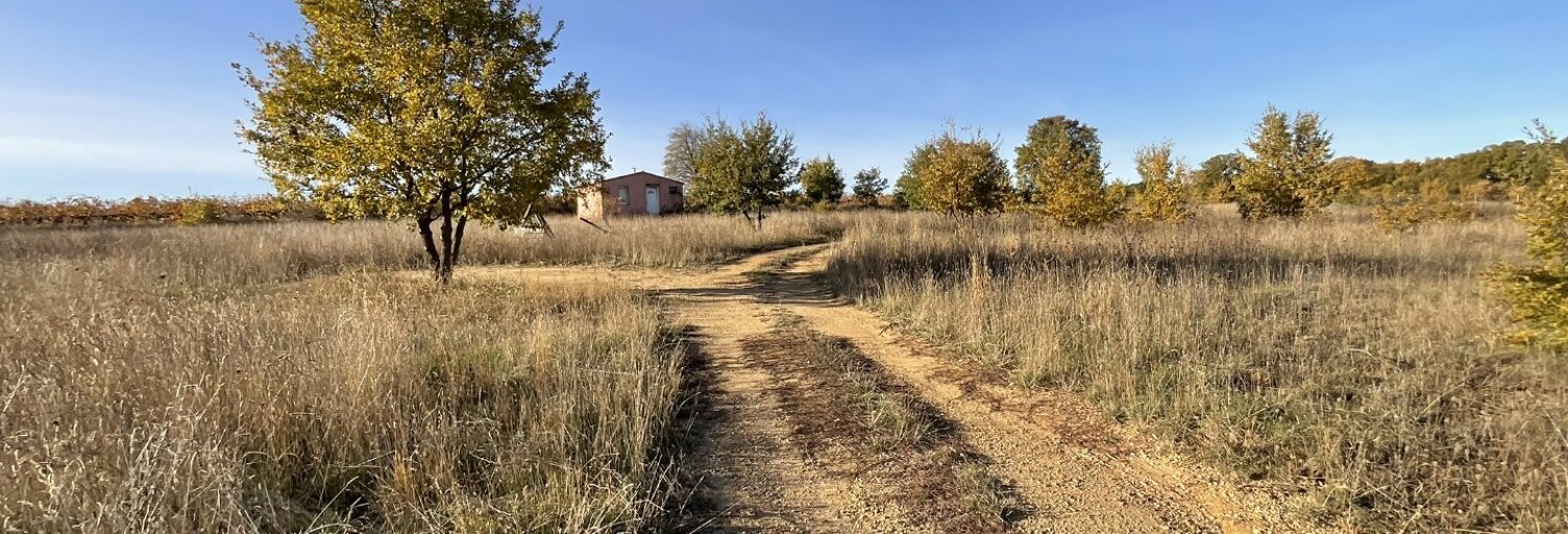 Terrain   m² à vendre à Tourbes (34120)