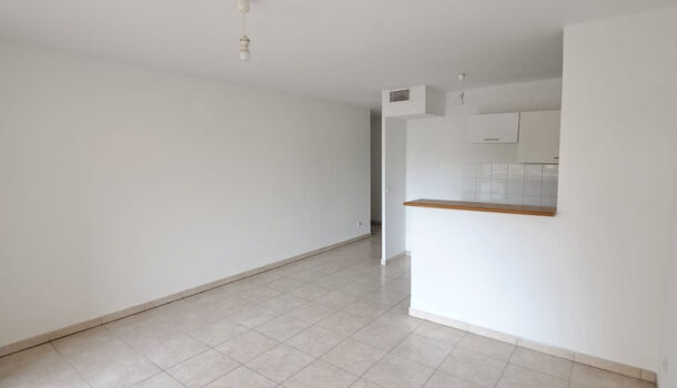 Appartement 2 pièces  à louer Marseille 6eme 13006