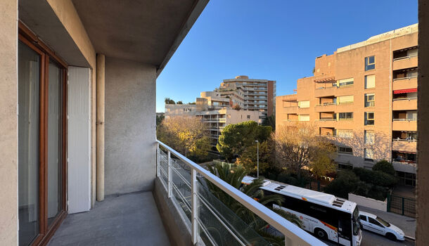 Appartement 1 pièces  à louer Marseille 10eme 13010