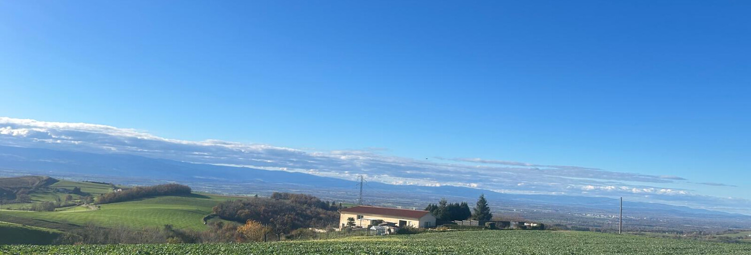 Maison 4 Pièces 100 m² à vendre à Chazelles-sur-Lyon (42140)