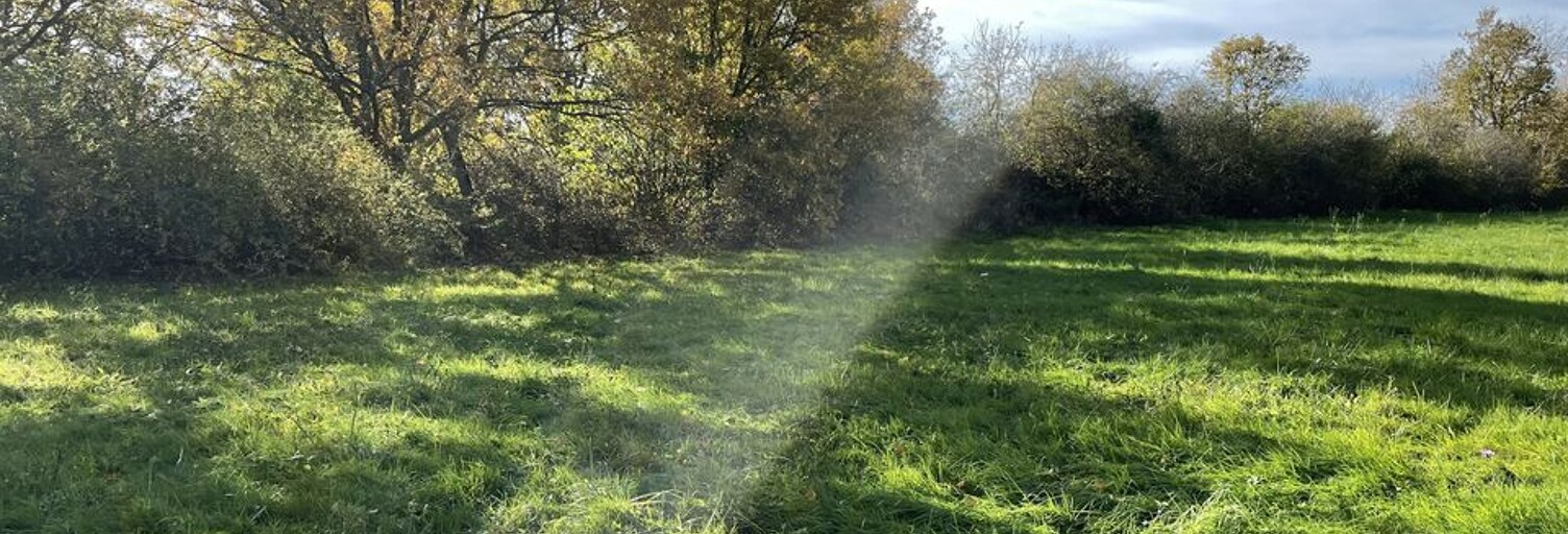 Terrain  4920 m² à vendre à Saint-Sylvestre-Pragoulin (63310)