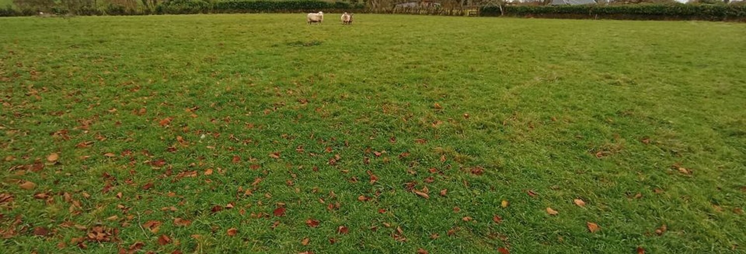 Terrain  3608 m² à vendre à Le Mayet-de-Montagne (03250)