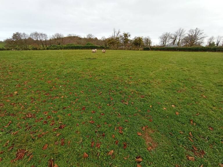 Grand terrain plat constructible — photo 1