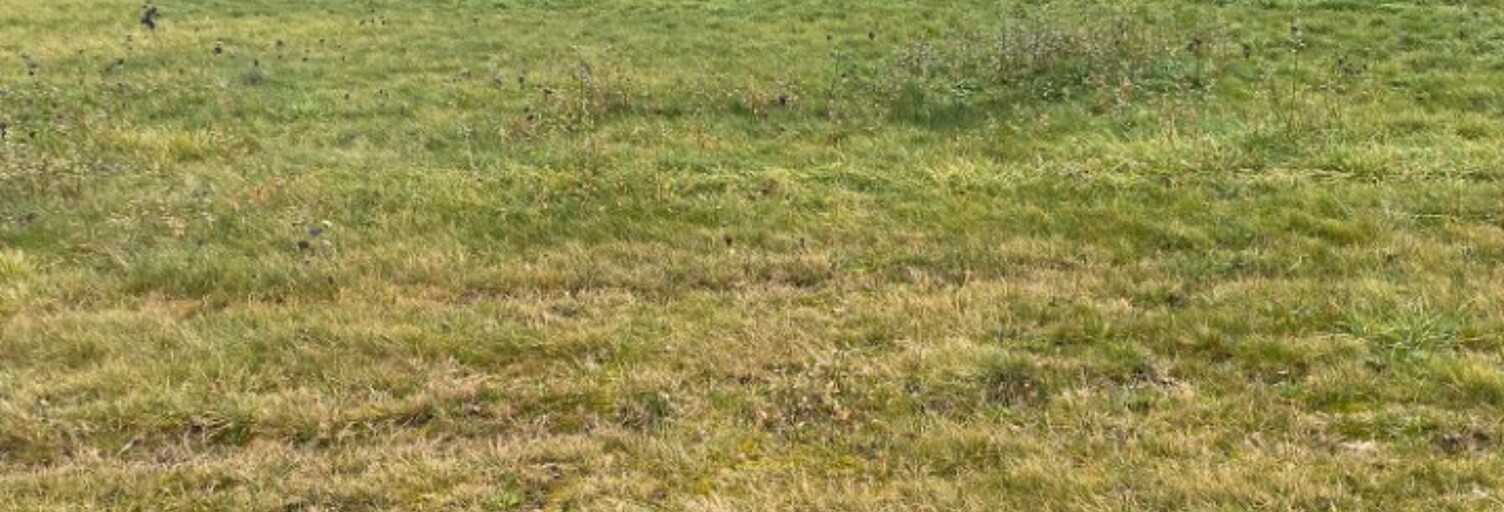 Terrain  570 m² à vendre à Saint-Laurent-Médoc (33112)