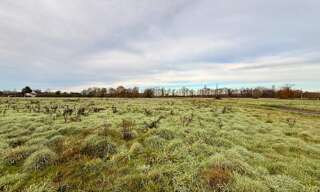 Terrain  1250 m² à vendre à La Force (24130)