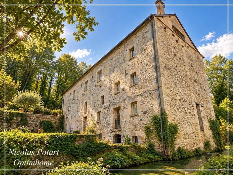 DUVY/CREPY EN VALOIS (60) Ancien moulin du XIIIe siècle – 600 m² habitables – 7000 m² de terrain – — photo 1