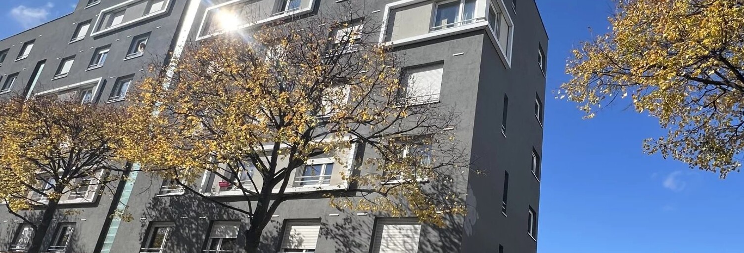 Appartement 1 Pièce 19 m² à vendre à Strasbourg (67100)