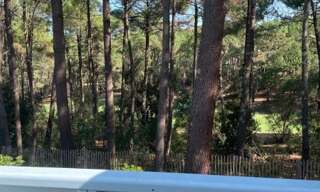 Appartement 2 Pièces 32 m² à louer à Lacanau (33680)