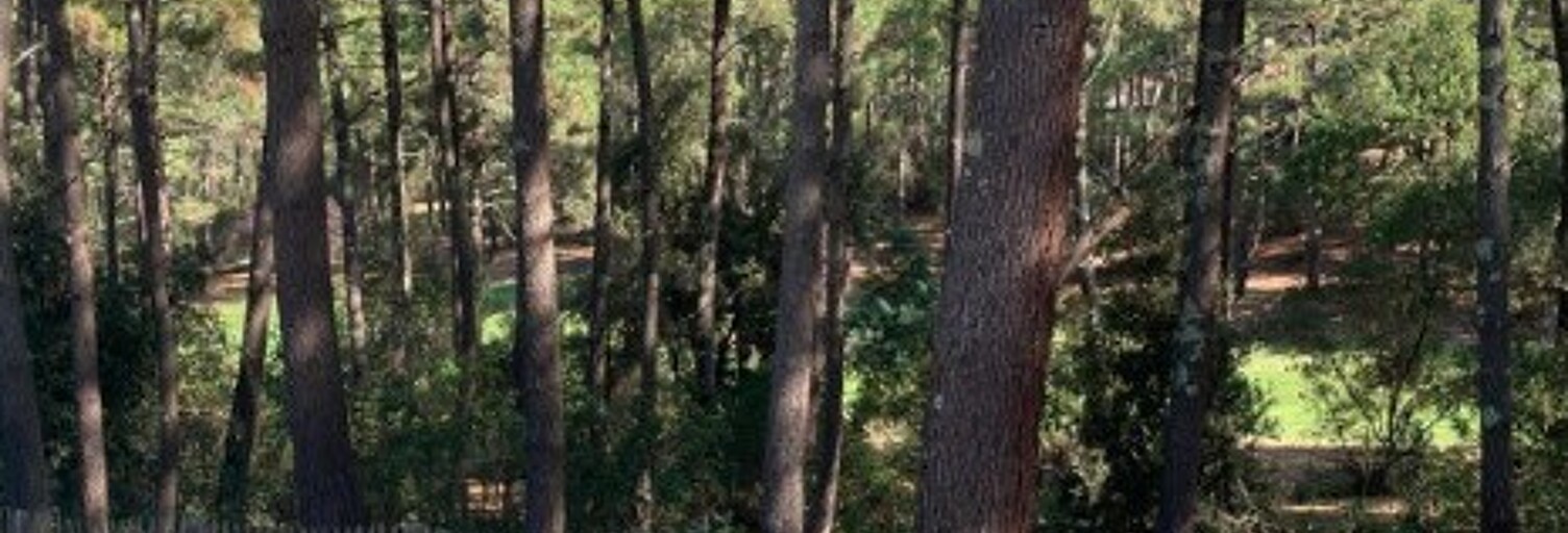 Appartement 2 Pièces 32 m² à louer à Lacanau (33680)