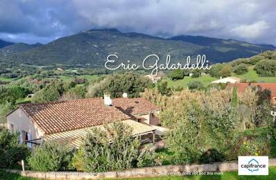 A VENDRE Ensemble immobilier locatif de 3 appartements T2 en rez-de-jardin sur la commune de VIGGIANELLO (20) proche plage et Propriano — photo du bien