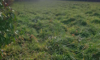 Maison 3 Pièces 215 m² à vendre à Saint-Bonnet (16300)