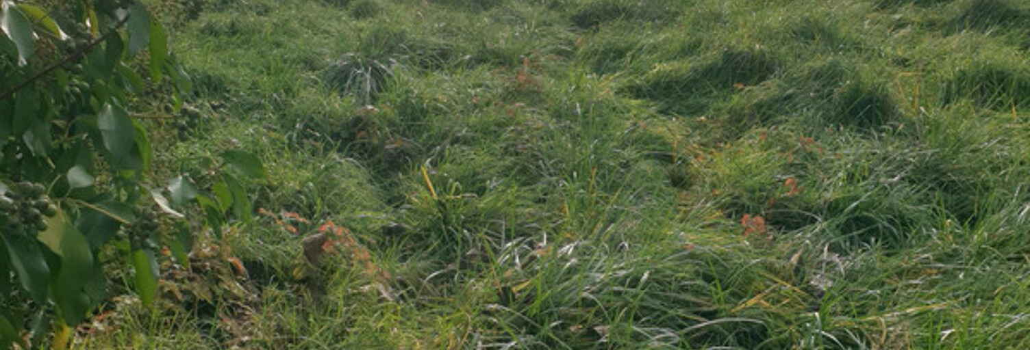 Maison 3 Pièces 215 m² à vendre à Saint-Bonnet (16300)