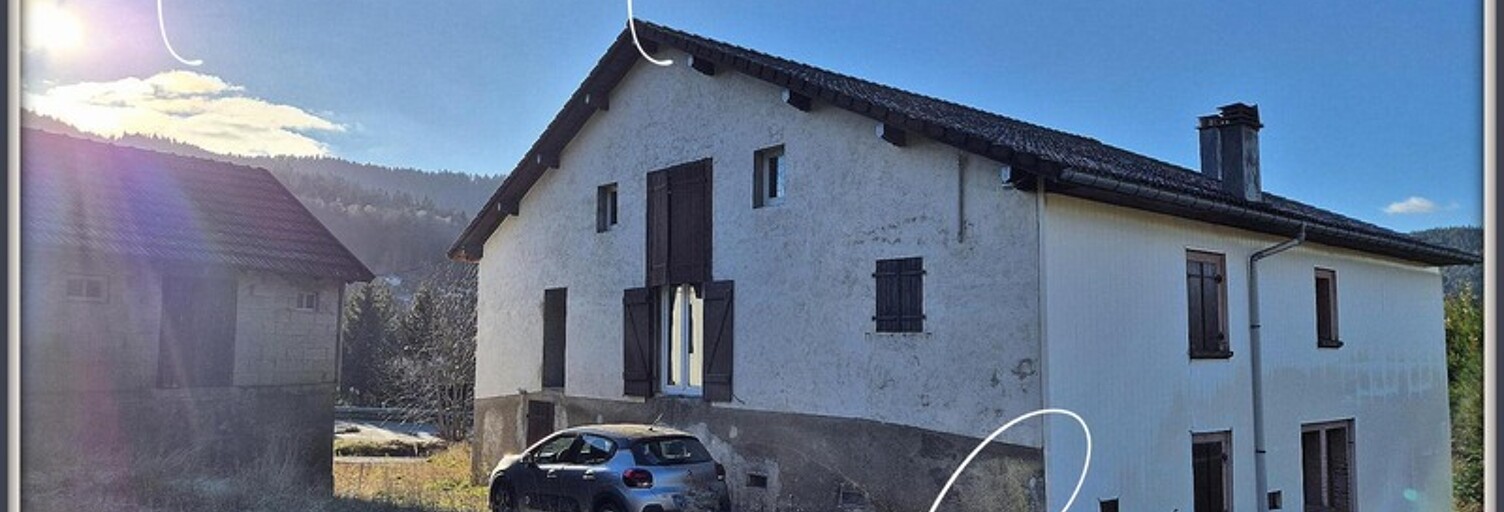 Maison 8 Pièces 219 m² à vendre à Fresse-sur-Moselle (88160)