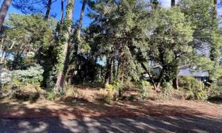 Divers  1434 m² à vendre à Soorts-Hossegor (40150)