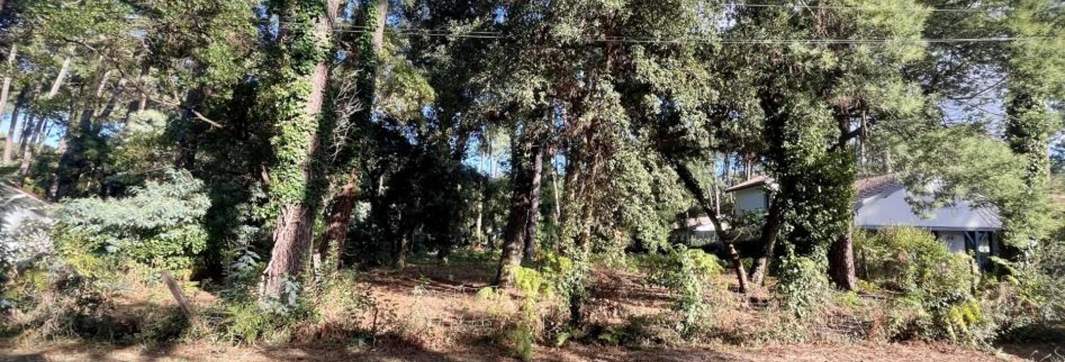 Divers  1434 m² à vendre à Soorts-Hossegor (40150)