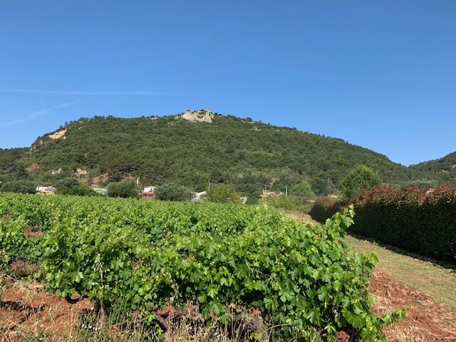 Terrain  à vendre Gonfaron 83590