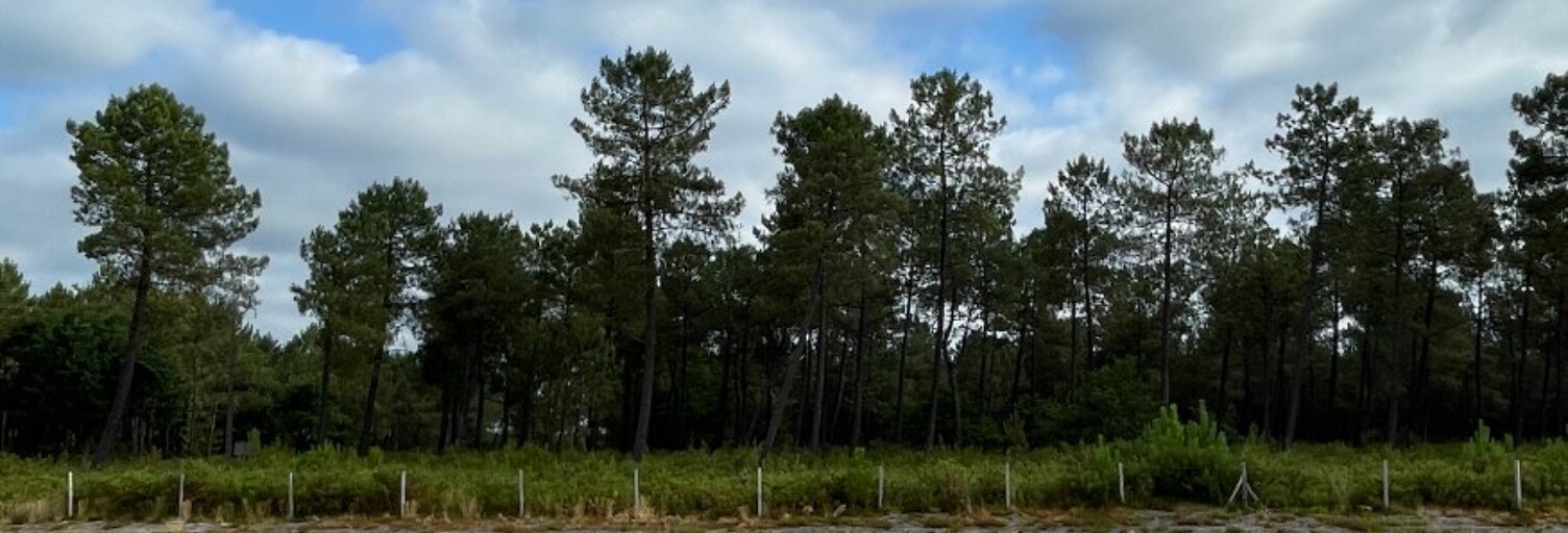 Terrain 485 m² à construire Parentis-en-Born (40160)