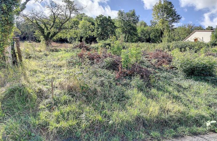 Réf 117 Terrain Saint Georges Sur Allier 2 538 m2 — photo 4