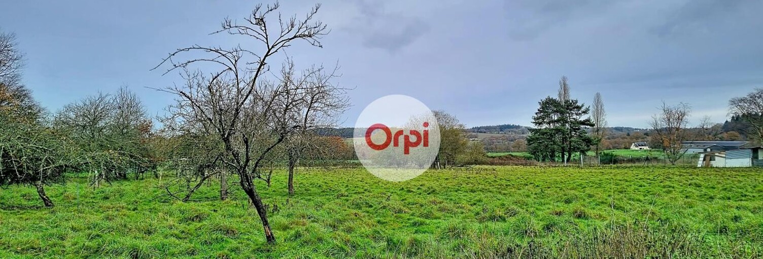 Terrain  5000 m² à vendre à Néant-sur-Yvel (56430)