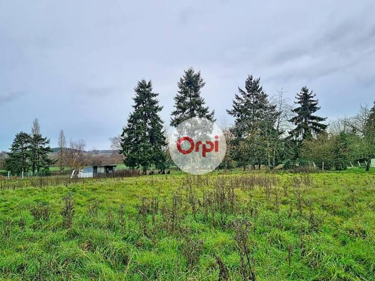 À vendre – Terrain constructible de 5 000 m² à Néant-sur-Yvel — photo 1