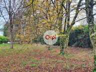 À vendre – Terrain constructible de 5 000 m² à Néant-sur-Yvel — photo 2