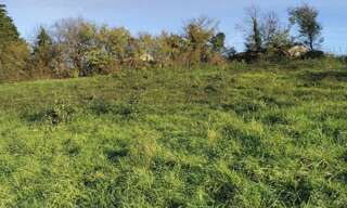 Terrain  2006 m² à vendre à Razac-sur-l'Isle (24430)